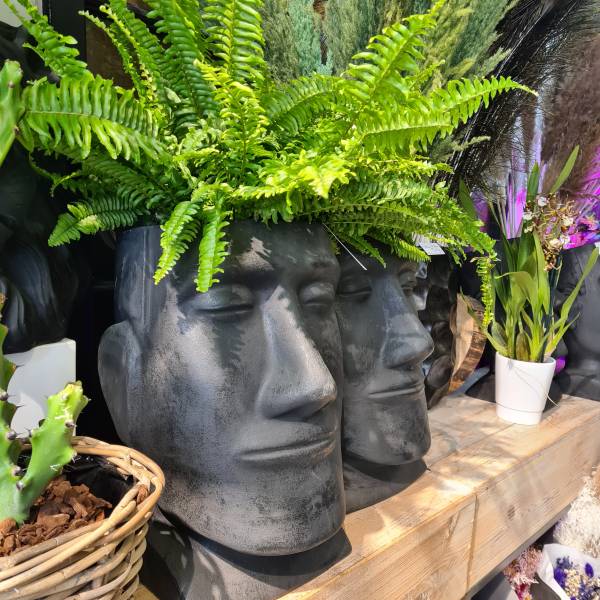 Décorations & Curiosités